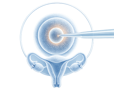 Fertinova Fertility& Women’s Care