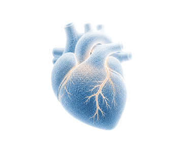 Critical CareDivision